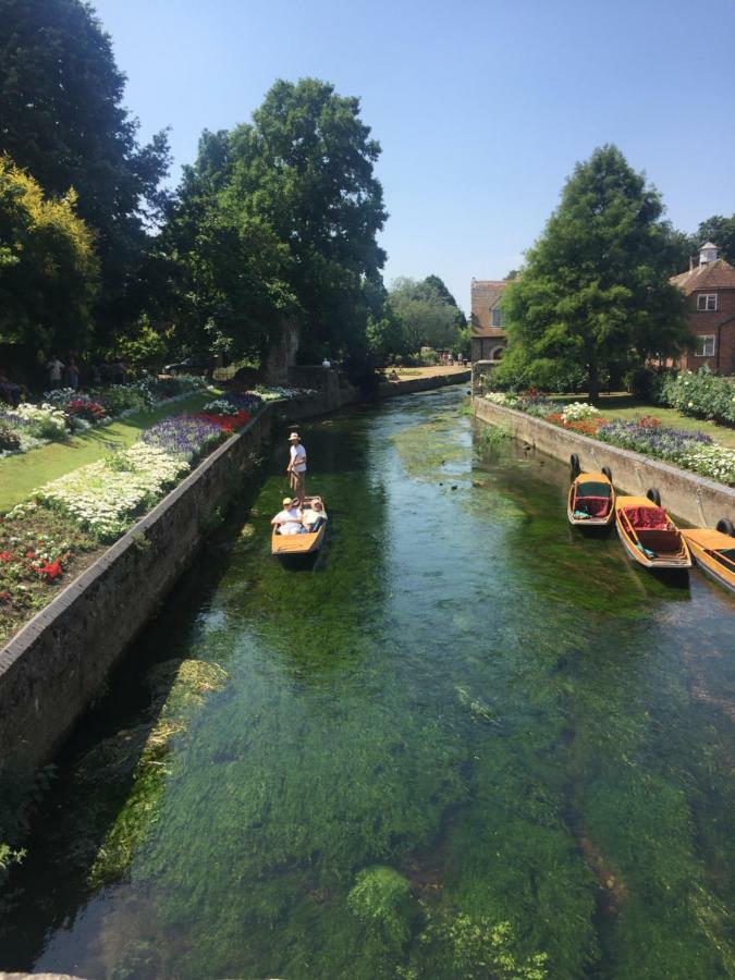 Canterbury Homestay Ensuite Buitenkant foto